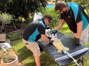 cheap Plumber inspecting a drain for pipe relining services